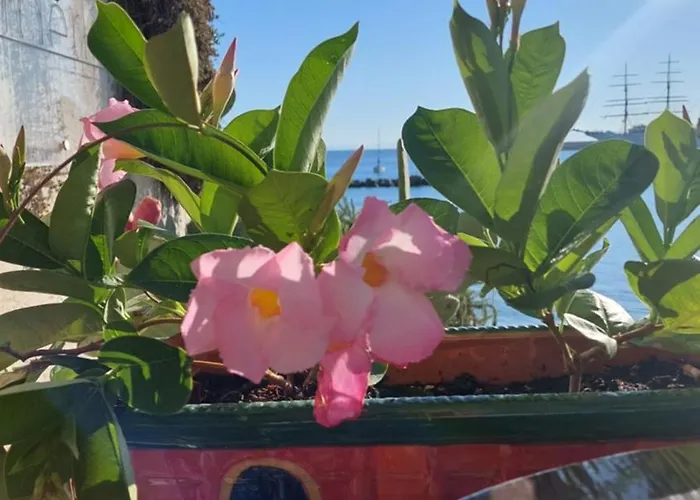 Apartman Bettamino Otranto, Porta D'oriente *